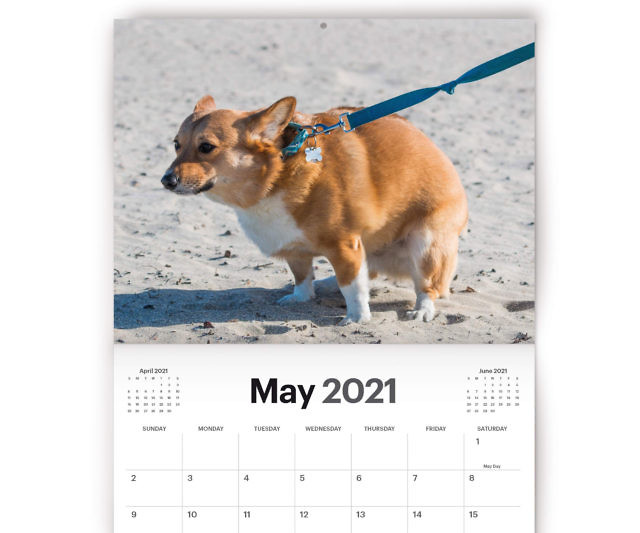 Dogs Pooping Calendar