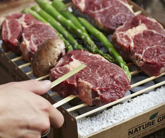 Portable Biodegradable Grill
