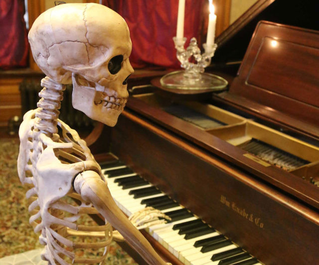 Posable Life Size Skeleton