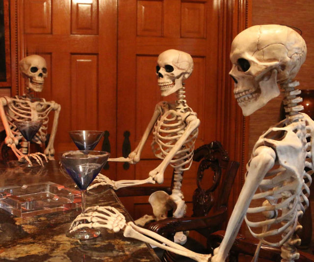 Posable Life Size Skeleton