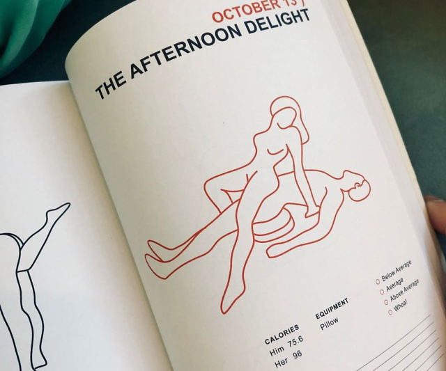 Position Of The Day: The Playbook