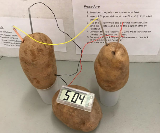Potato Powered Clock Science Kit