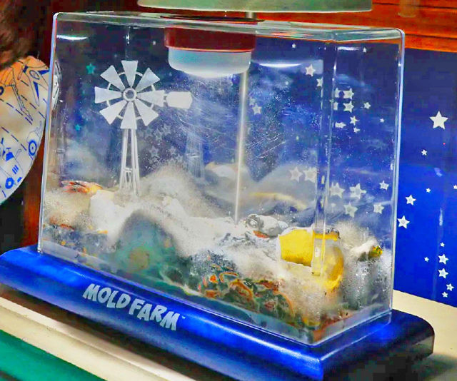 Kid’s Mold Farm