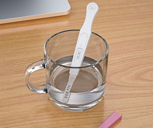 Prank Pregnancy Test
