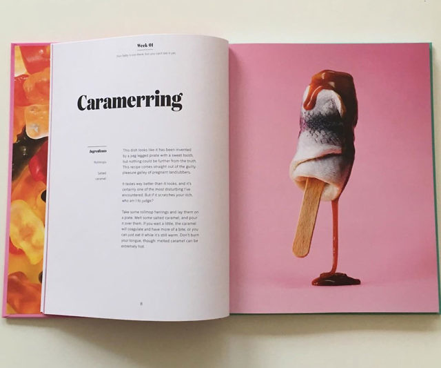 The Pregnancy Cookbook