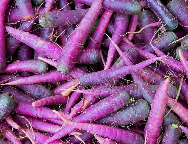 Purple Carrots