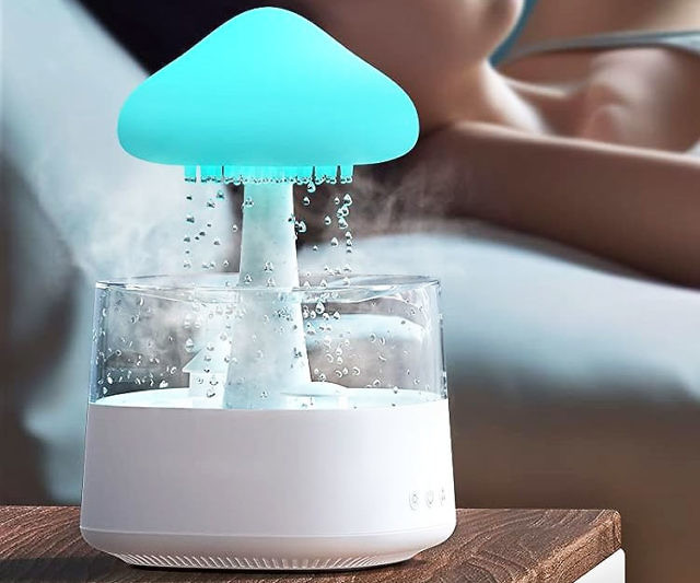 Rain Cloud Humidifier