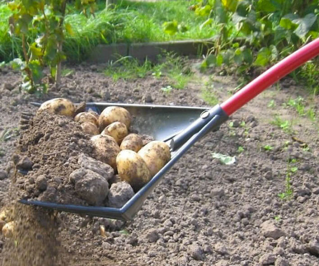 2-In-1 Shovel And Rake