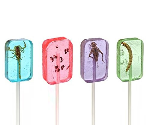 Real Insect Lollipops