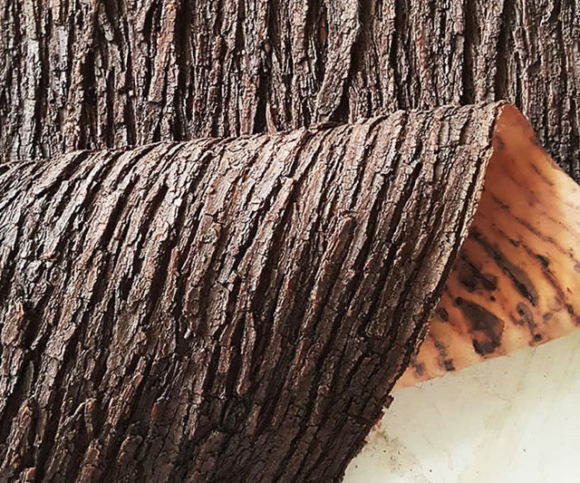 Realistic Silicone Tree Bark Sheets