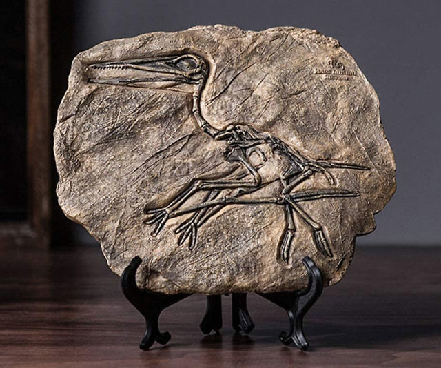 Resin Dinosaur Fossil Statues