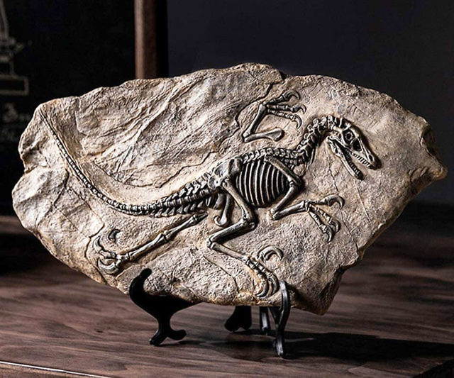 Resin Dinosaur Fossil Statues