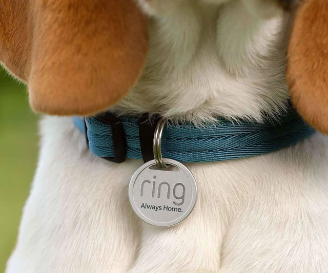 Ring Pet Tag