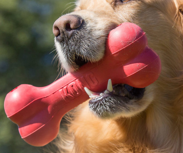 Rubber Bone Dog Toy