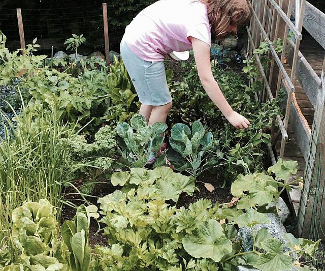 Seeding Squares