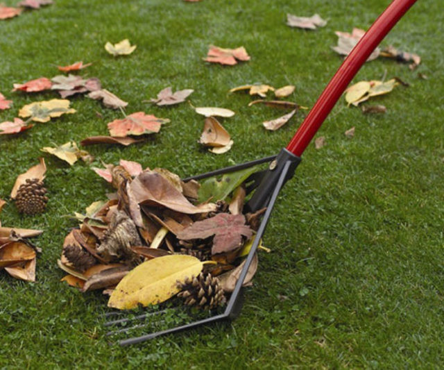2-In-1 Shovel And Rake