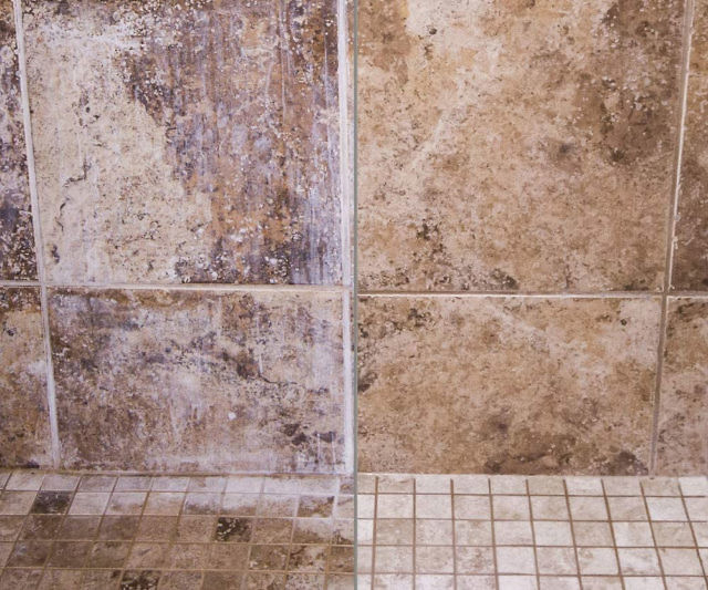 Wet & Forget Shower Cleaner