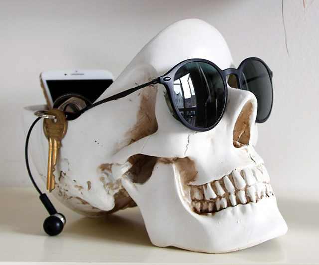 Human Skull Tidy