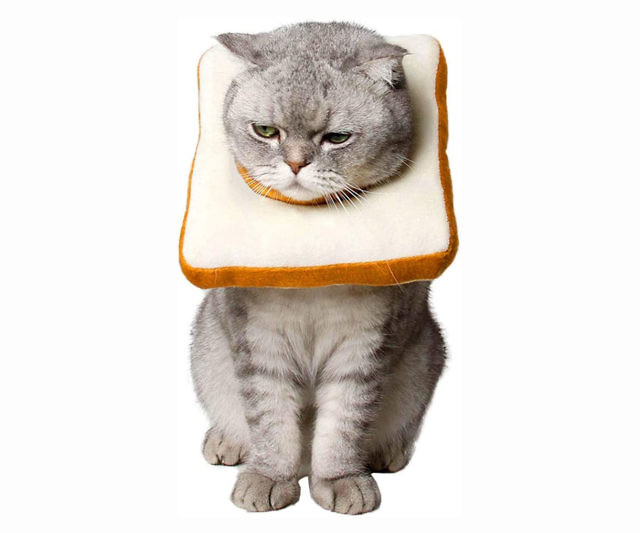 Slice Of Bread Cat Cone