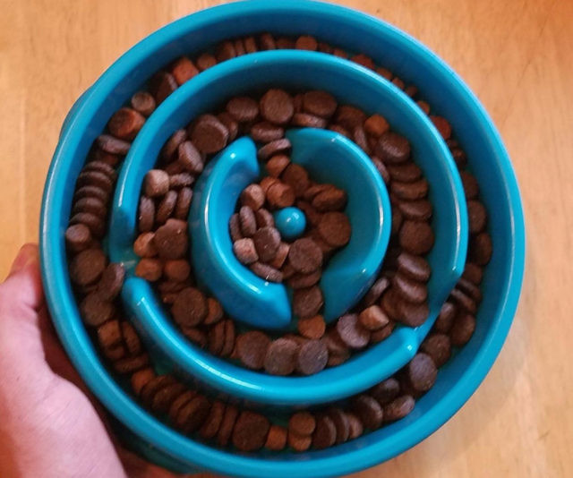 Slow Feed Dog Bowl