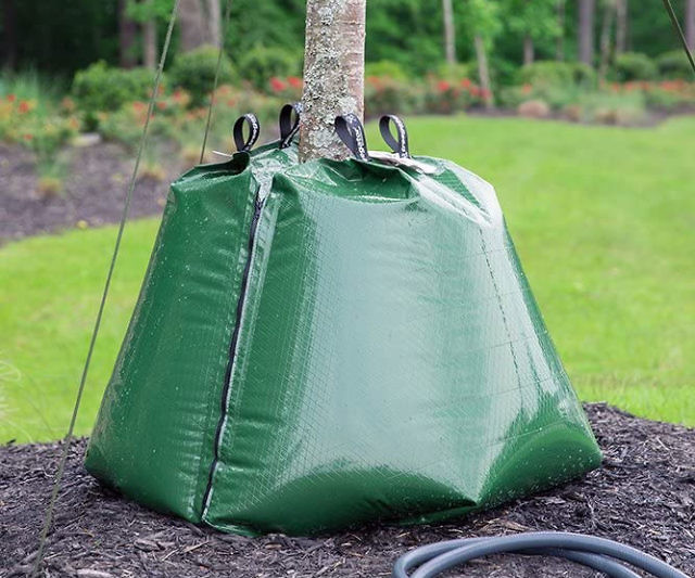 Slow Release Watering Bag For Trees