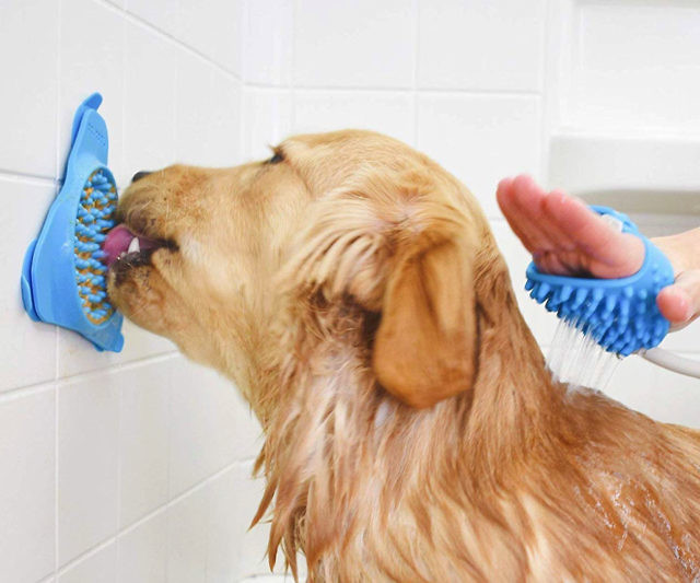Slow Treat Dispensing Wall Mat