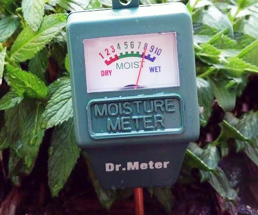 Plant/Garden Soil Sensor Meter