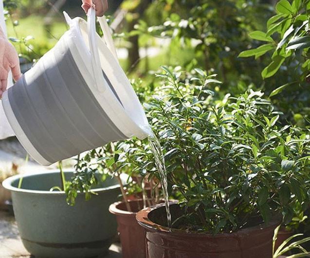Collapsible Silicon Bucket
