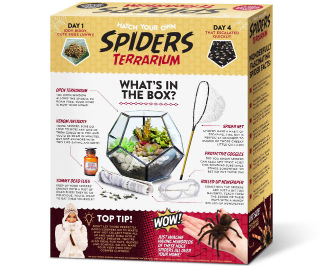 Hatch Your Own Spiders Terrarium