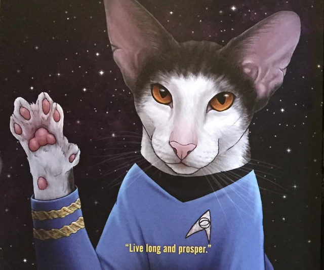 Star Trek Cats
