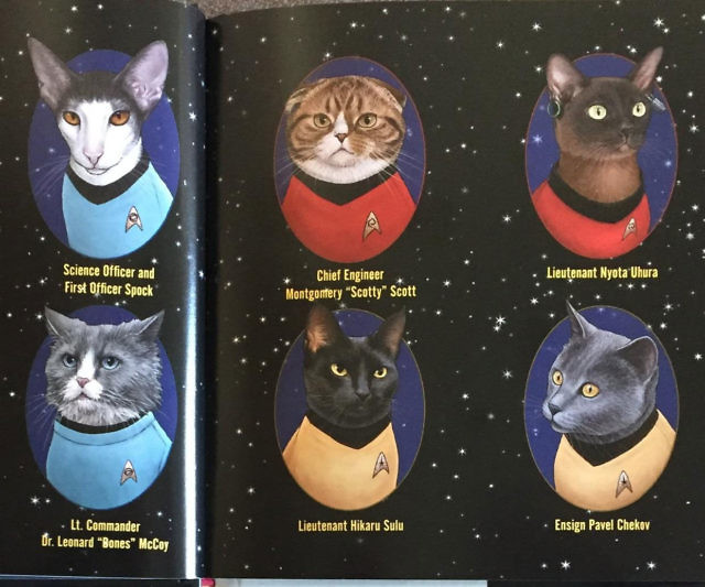 Star Trek Cats