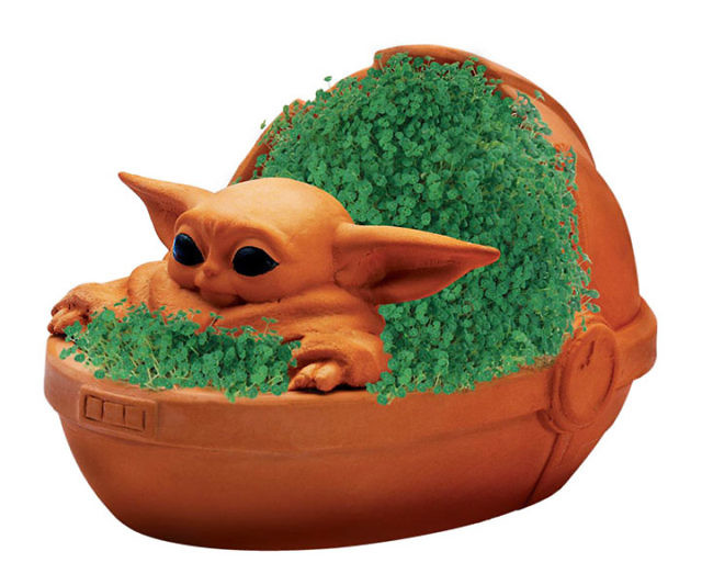 The Child Chia Pet