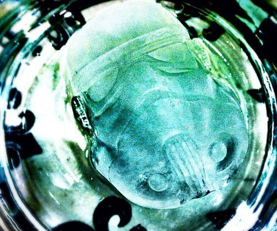 Stormtrooper Ice Cube Tray