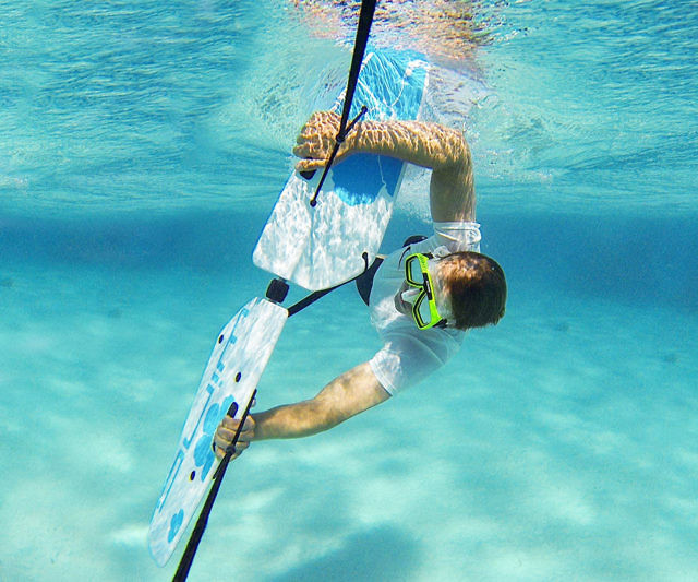 Subwing Underwater Glider