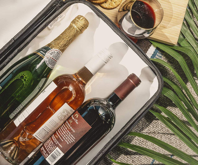 Suitcase Cooler