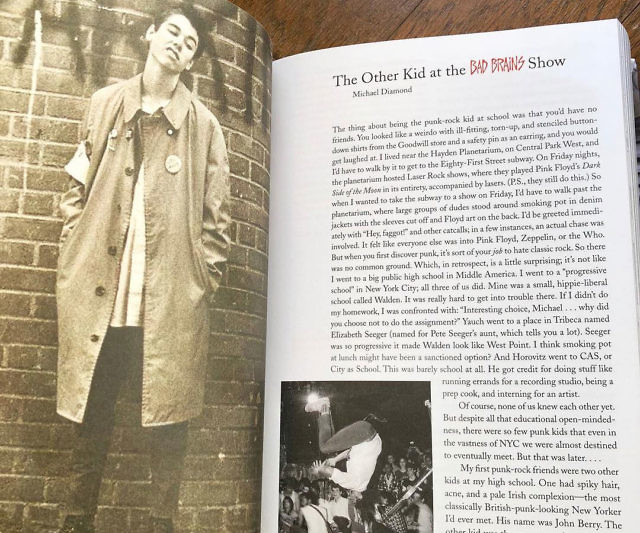 The Beastie Boys Book