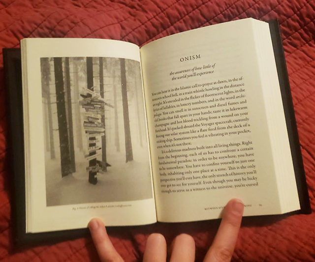 The Dictionary Of Obscure Sorrows