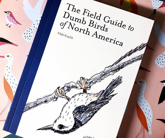 Field Guide To Dumb Birds Of N. America