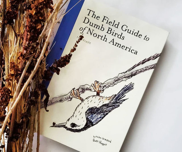 Field Guide To Dumb Birds Of N. America