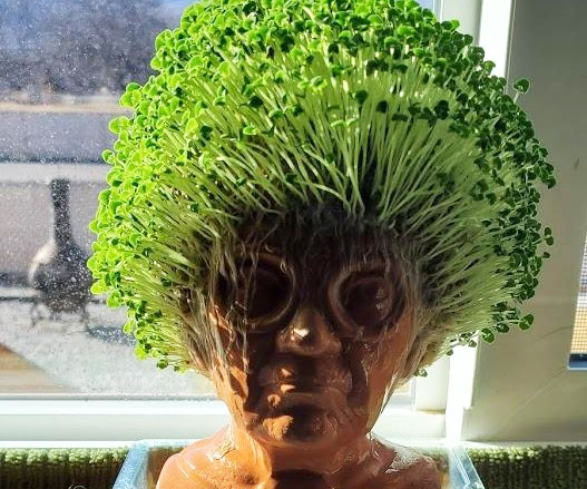 The Golden Girls Chia Pets