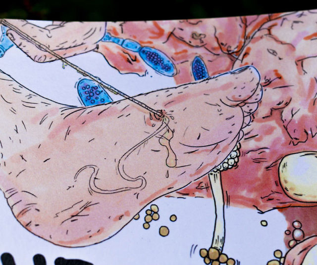 The Infectious Disease Coloring Book