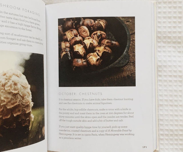 The Little Book Of Hygge