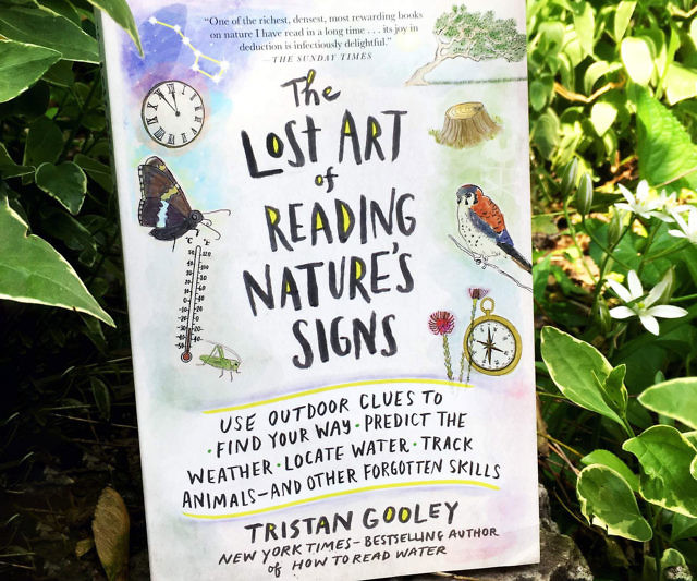 The Lost Art Of Reading Nature’s Signs