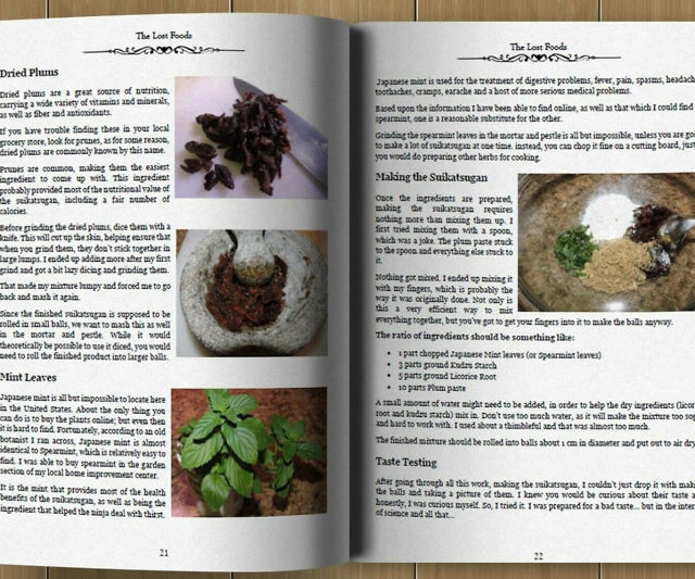 The Lost Superfoods Book