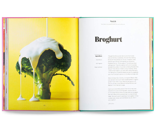The Pregnancy Cookbook