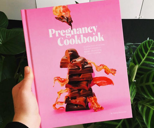 The Pregnancy Cookbook