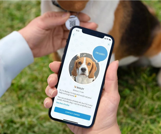 Ring Pet Tag