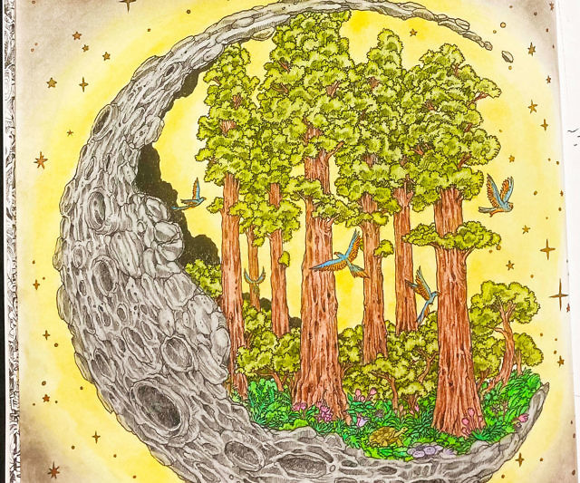 Worlds Within Worlds Coloring Book