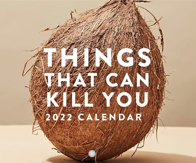 Things That Can Kill You Calendar