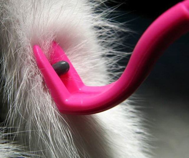 Tick Removing Tweezers